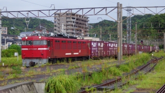 JR貨物 国鉄ED76形電気機関車 ED76 1020 鉄道フォト・写真 by 済城市さん 鹿児島駅：2022年09月03日16時ごろ