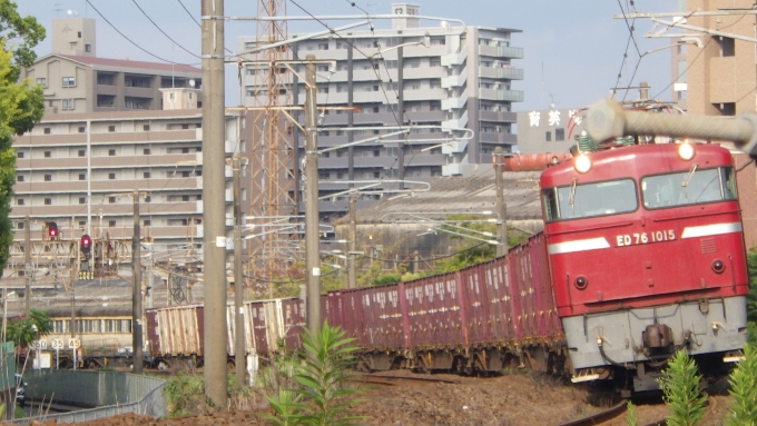 鉄道フォト・写真：JR貨物 国鉄ED76形電気機関車 ED76 1015 鹿児島中央駅 鉄道フォト・写真 by 済城市さん - 撮影日 2022/09/10 16:23