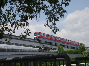 大阪モノレール1100形(Mc) 1121 鉄道フォト・写真 by RED EXPRESSさん ：2022年08月15日11時ごろ