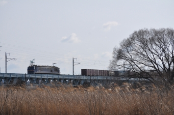 JR貨物 EF510形 EF510-501 鉄道フォト・写真 by ABEEEEEさん 羽後牛島駅：2024年03月06日15時ごろ