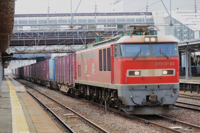 JR貨物 EF510形 EF510-23 鉄道フォト・写真 by ABEさん 秋田駅：2024年03月30日11時ごろ