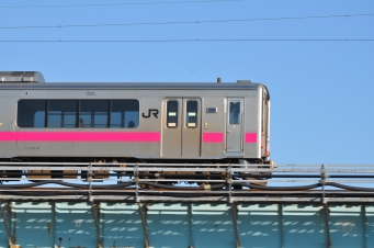 JR東日本 クハ700形 クハ700-19 鉄道フォト・写真 by ABEさん 羽後牛島駅：2024年05月02日16時ごろ