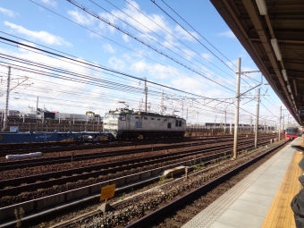 JR貨物 EF510形 EF510-509 鉄道フォト・写真 by ブロック＆トレインさん 栄生駅：2022年12月26日12時ごろ