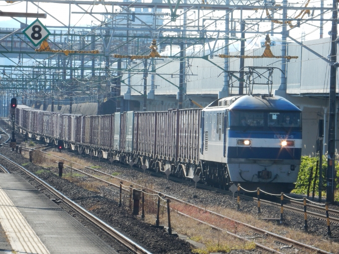 鉄道フォト・写真：JR貨物EF210形電気機関車 EF210-9 草薙駅 (JR) 鉄道フォト・写真 by 313系2350番台W1編成海シスさん - 撮影日 2022/11/18 13:36