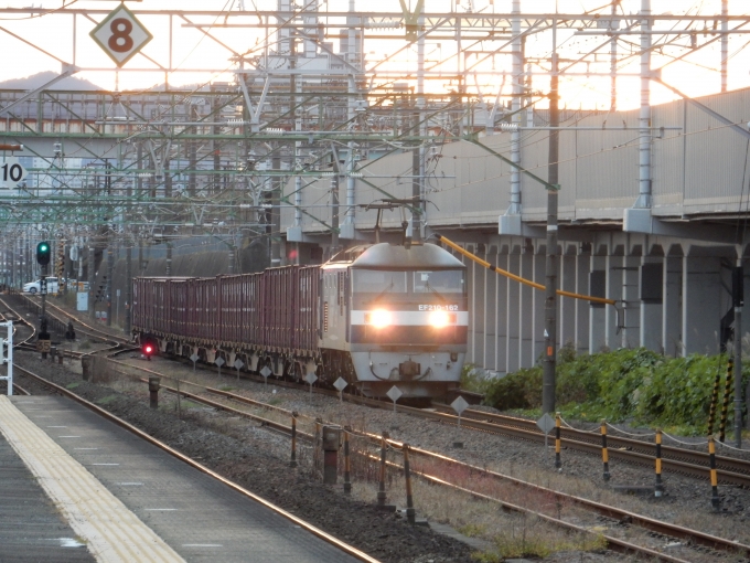 鉄道フォト・写真：JR貨物EF210形電気機関車 EF210-162 草薙駅 (JR) 鉄道フォト・写真 by 313系2350番台W1編成海シスさん - 撮影日 2022/11/24 16:20