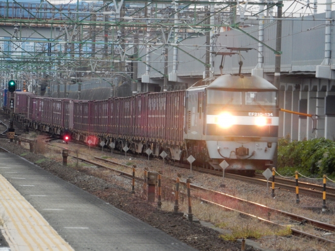 鉄道フォト・写真：JR貨物EF210形電気機関車 EF210-134 草薙駅 (JR) 鉄道フォト・写真 by 313系2350番台W1編成海シスさん - 撮影日 2022/11/22 16:20