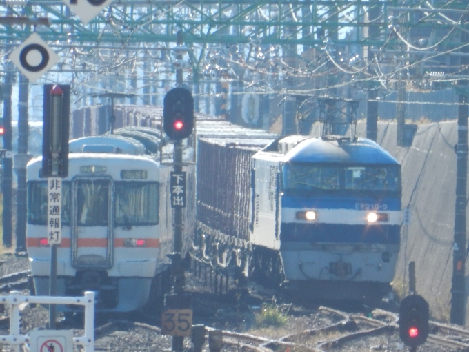 鉄道フォト・写真：JR貨物EF210形電気機関車 EF210-9 草薙駅 (JR) 鉄道フォト・写真 by 313系2350番台W1編成海シスさん - 撮影日 2022/11/18 13:36