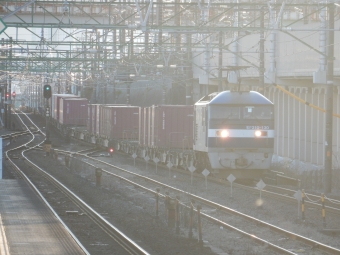 JR貨物 EF210形 EF210-130 鉄道フォト・写真 by 313系2350番台W1編成海シスさん 草薙駅 (JR)：2023年02月20日16時ごろ