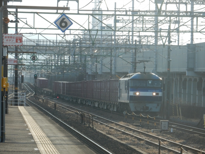 鉄道フォト・写真：JR貨物EF210形電気機関車 EF210-121 草薙駅 (JR) 鉄道フォト・写真 by 313系2350番台W1編成海シスさん - 撮影日 2023/02/22 16:21