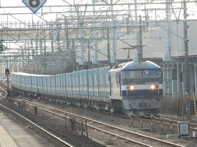 鉄道フォト・写真：JR貨物EF210形電気機関車 EF210-343 草薙駅 (JR) 鉄道フォト・写真 by 313系2350番台W1編成海シスさん - 撮影日 2023/02/22 16:08