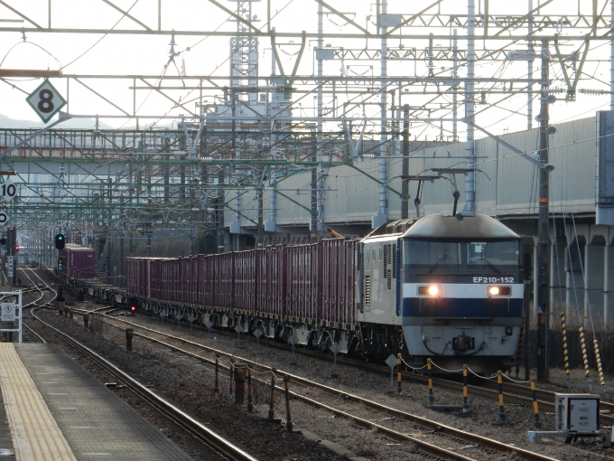 鉄道フォト・写真：JR貨物EF210形電気機関車 EF210-152 草薙駅 (JR) 鉄道フォト・写真 by 313系2350番台W1編成海シスさん - 撮影日 2023/03/03 16:21