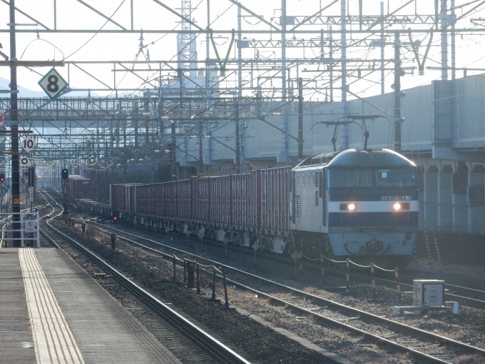 鉄道フォト・写真：JR貨物EF210形電気機関車 EF210-136 草薙駅 (JR) 鉄道フォト・写真 by 313系2350番台W1編成海シスさん - 撮影日 2023/02/28 16:21