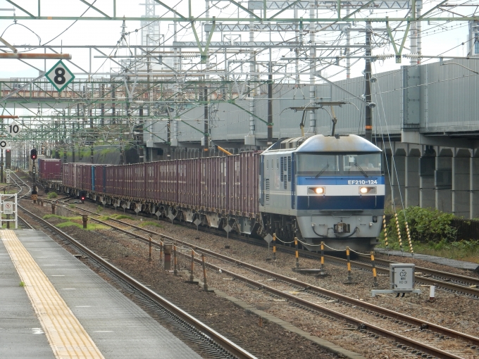 鉄道フォト・写真：JR貨物EF210形電気機関車 EF210-124 草薙駅 (JR) 鉄道フォト・写真 by 313系2350番台W1編成海シスさん - 撮影日 2023/04/26 16:19