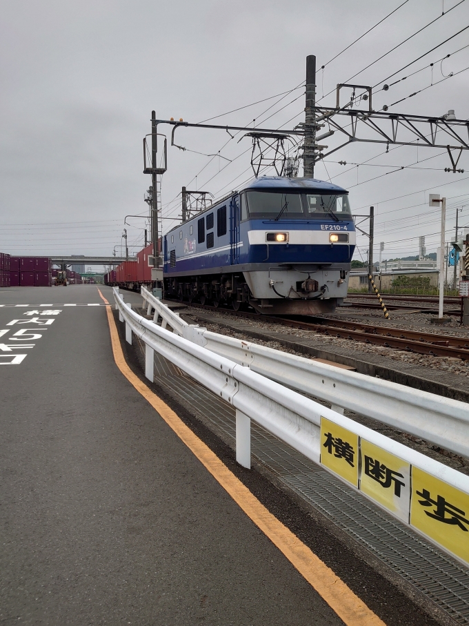 鉄道フォト・写真：JR貨物EF210形電気機関車 EF210-4 東静岡駅 鉄道フォト・写真 by 313系2350番台W1編成海シスさん - 撮影日 2023/05/21 14:09