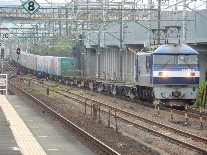 鉄道フォト・写真：JR貨物EF210形電気機関車 EF210-4 草薙駅 (JR) 鉄道フォト・写真 by 313系2350番台W1編成海シスさん - 撮影日 2023/06/23 17:07