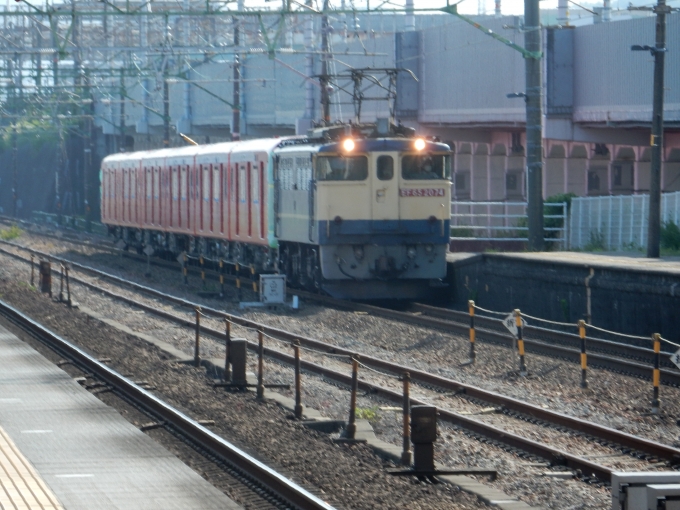 鉄道フォト・写真：JR貨物 国鉄EF65形電気機関車 EF65 2074 草薙駅 (JR) 鉄道フォト・写真 by 313系2350番台W1編成海シスさん - 撮影日 2023/07/21 15:39