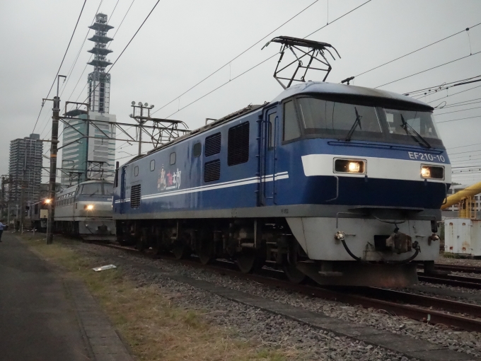 鉄道フォト・写真：JR貨物EF210形電気機関車 EF210-10 東静岡駅 鉄道フォト・写真 by 313系2350番台W1編成海シスさん - 撮影日 2023/05/21 15:09