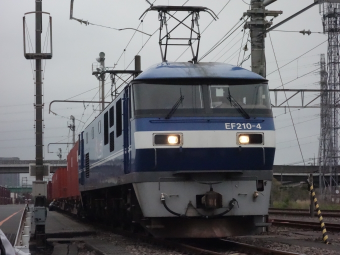 鉄道フォト・写真：JR貨物EF210形電気機関車 EF210-4 東静岡駅 鉄道フォト・写真 by 313系2350番台W1編成海シスさん - 撮影日 2023/05/21 14:26