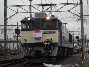 JR貨物 国鉄EF64形電気機関車 EF64-1028 鉄道フォト・写真 by 313系2350番台W1編成海シスさん 東静岡駅：2023年05月21日15時ごろ