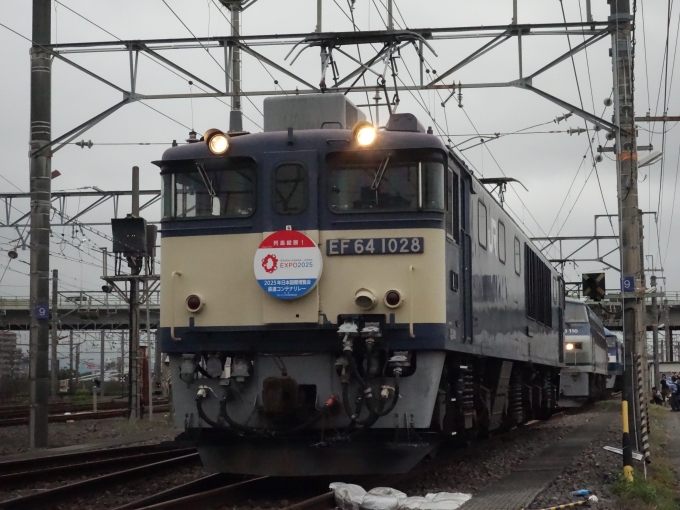 JR貨物 国鉄EF64形電気機関車 EF64-1028 東静岡駅 鉄道フォト・写真 by 