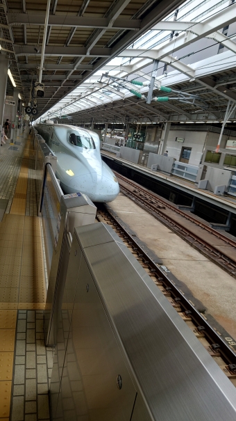 JR九州 782形(M`c) さくら(新幹線) 782-8001 鉄道フォト・写真 by JR東民さん 新大阪駅 (JR)：2022年08月20日13時ごろ