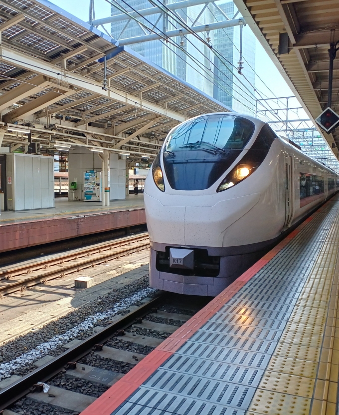 鉄道フォト・写真：JR東日本E657系電車 東京駅 (JR) 鉄道フォト・写真 by K2さん - 撮影日 2022/04/10 13:22
