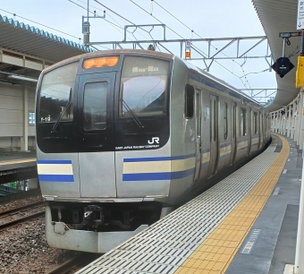 JR東日本 クハE217形 クハE217-19 鉄道フォト・写真 by K2さん ：2022年08月30日10時ごろ