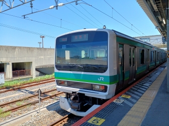 JR東日本 E231系 鉄道フォト・写真 by K2さん 成田駅：2022年06月25日10時ごろ