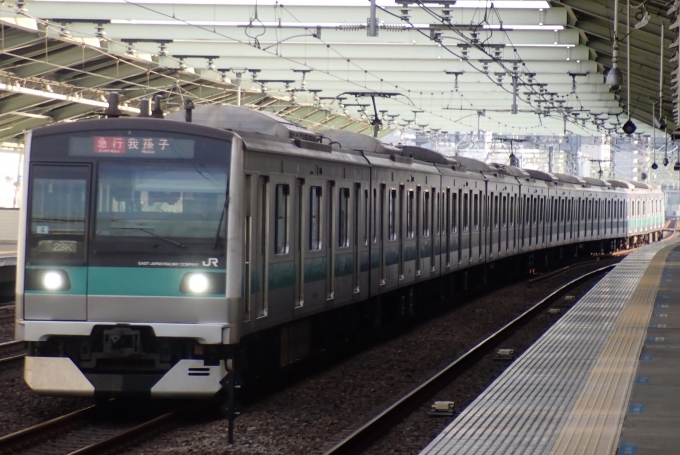 鉄道フォト・写真：JR東日本E233系電車 クハE233-2004 和泉多摩川駅 鉄道フォト・写真 by Shibaさん - 撮影日 2024/07/07 17:24