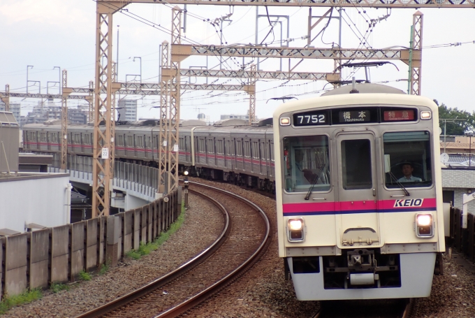 鉄道フォト・写真：京王電鉄 京王7000系電車 7752 京王稲田堤駅 鉄道フォト・写真 by Shibaさん - 撮影日 2024/07/10 15:26