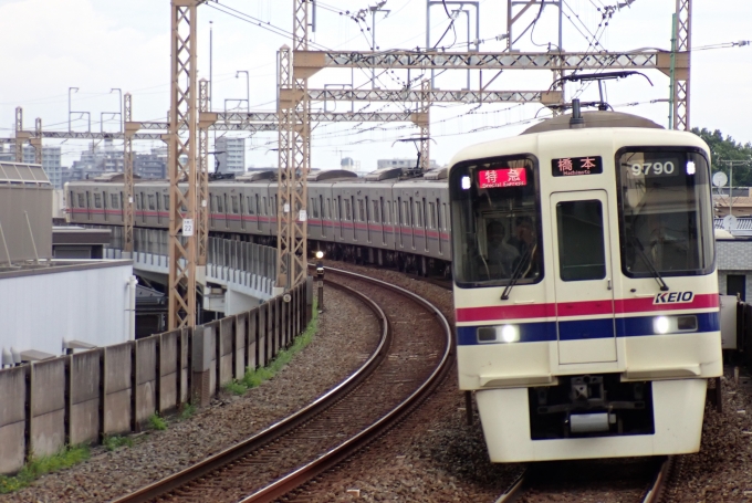 鉄道フォト・写真：京王電鉄 京王9000系電車 9790 京王稲田堤駅 鉄道フォト・写真 by Shibaさん - 撮影日 2024/07/10 16:06