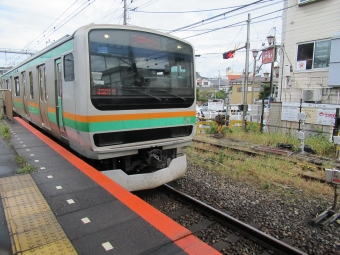 JR東日本E231系電車 鉄道フォト・写真 by はこね31さん 鎌倉駅 (JR)：2022年11月26日11時ごろ