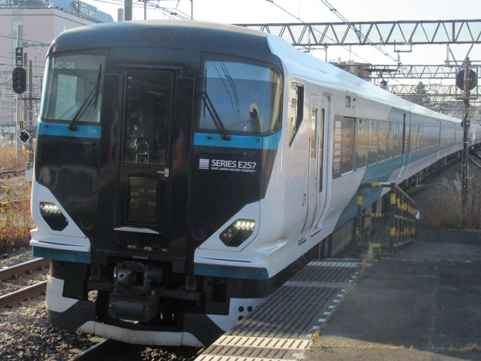 鉄道フォト・写真：JR東日本E257系電車 大船駅 (JR) 鉄道フォト・写真 by はこね31さん - 撮影日 2023/01/07 09:27