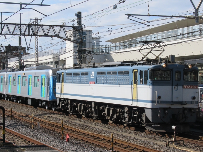 鉄道フォト・写真：JR貨物 国鉄EF65形電気機関車 ef65-2063 大船駅 (JR) 鉄道フォト・写真 by はこね31さん - 撮影日 2023/02/25 09:52