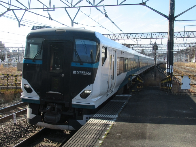 鉄道フォト・写真：JR東日本E257系電車 踊り子 大船駅 (JR) 鉄道フォト・写真 by はこね31さん - 撮影日 2023/02/25 09:27