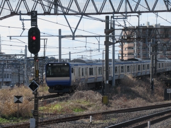 JR東日本E235系電車 鉄道フォト・写真 by はこね31さん 大船駅 (JR)：2023年02月25日09時ごろ