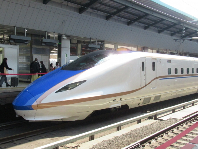 JR東日本 E7・W7系新幹線電車 東京駅 (JR) 鉄道フォト・写真 by はこね31さん レイルラボ(RailLab)