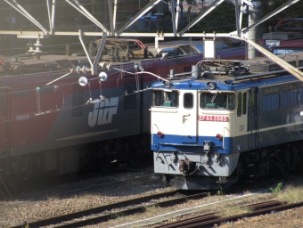 JR貨物 国鉄EF65形電気機関車 EF65-2085 鉄道フォト・写真 by はこね31さん 新川崎駅：2022年10月29日12時ごろ