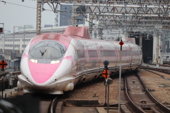 JR西日本 500系新幹線電車 こだま 鉄道フォト・写真 by ディープさん 新大阪駅 (JR)：2022年08月25日11時ごろ