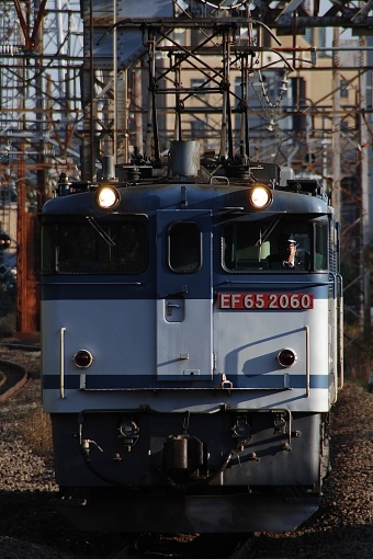 JR貨物 国鉄EF65形電気機関車 EF65 2060 鉄道フォト・写真 by 青葉機関区さん 小田栄駅：2022年12月09日14時ごろ