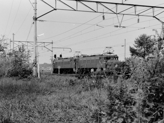 国鉄ED77形電気機関車 ED77 鉄道フォト・写真 by tetsu_miichanさん 翁島駅：1974年09月15日00時ごろ