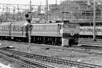国鉄EF65形電気機関車 はやぶさ(特急) EF65-534 鉄道フォト・写真 by tetsu_miichanさん 品川駅 (JR)：1975年02月11日00時ごろ