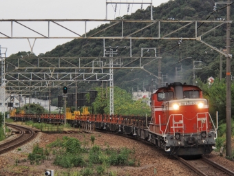 JR西日本 国鉄DD51形ディーゼル機関車 DD51-1193 鉄道フォト・写真 by FM-805Dさん 竜野駅：2022年09月17日16時ごろ