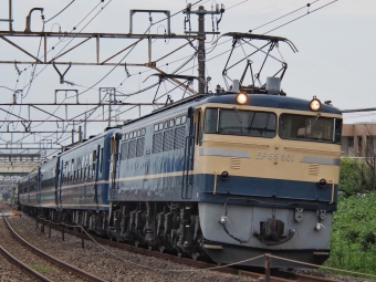 JR東日本 国鉄EF65形電気機関車 EL YOGISHAよこかわ EF65-501 鉄道フォト・写真 by FM-805Dさん 北高崎駅：2022年07月30日17時ごろ