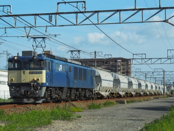 JR貨物 国鉄EF64形電気機関車 EF64-1028 鉄道フォト・写真 by FM-805Dさん ：2019年05月19日16時ごろ