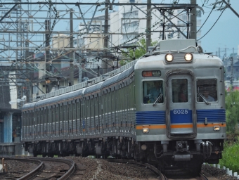 南海電鉄 南海6000系電車 6025F 鉄道フォト・写真 by FM-805Dさん ：2019年06月29日10時ごろ