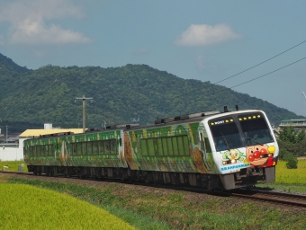 JR四国 2000形 アンパンマントレイン 2007 鉄道フォト・写真 by FM-805Dさん ：2020年08月29日10時ごろ