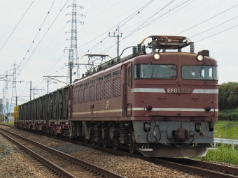 JR貨物 国鉄EF81形電気機関車 EF81-717 鉄道フォト・写真 by FM-805Dさん ：2019年10月20日13時ごろ