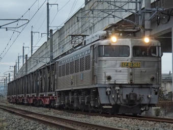 JR貨物 国鉄EF81形電気機関車 大牟田貨物 EF81-303 鉄道フォト・写真 by FM-805Dさん ：2019年11月24日07時ごろ