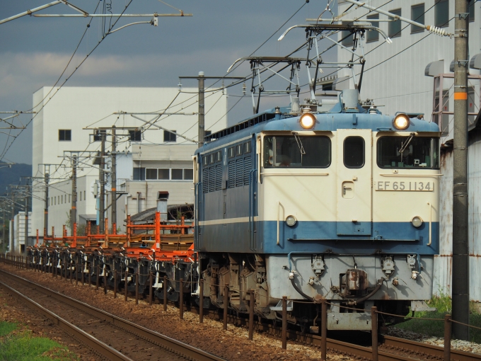 鉄道フォト・写真：JR西日本 国鉄EF65形電気機関車 EF65-1134 福山~備後赤坂 鉄道フォト・写真 by FM-805Dさん - 撮影日 2020/04/18 16:22